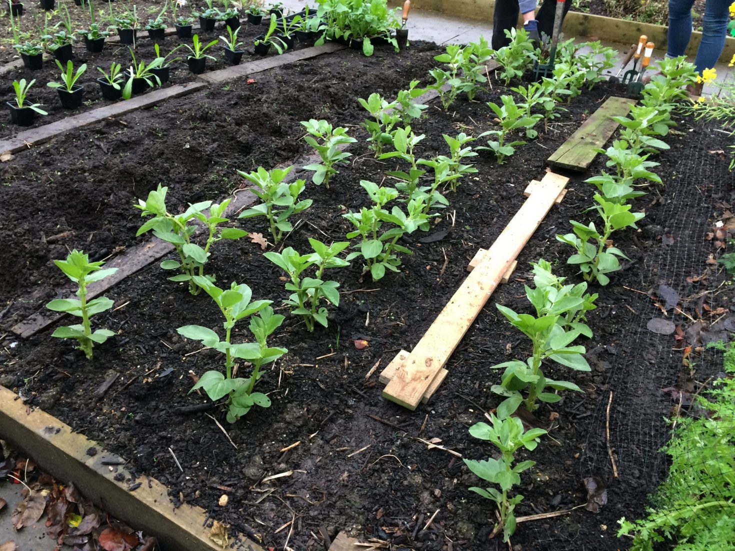 Support our Right to Grow neighbours in Waltham Forest!