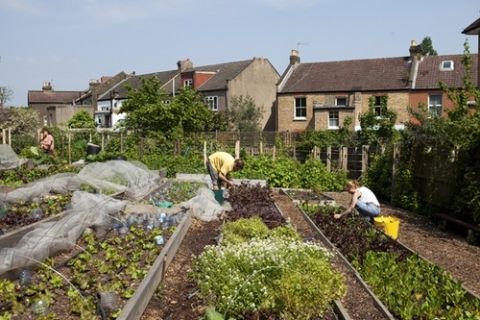 Southwark Council allows ‘right to grow’ on unused council land in London first