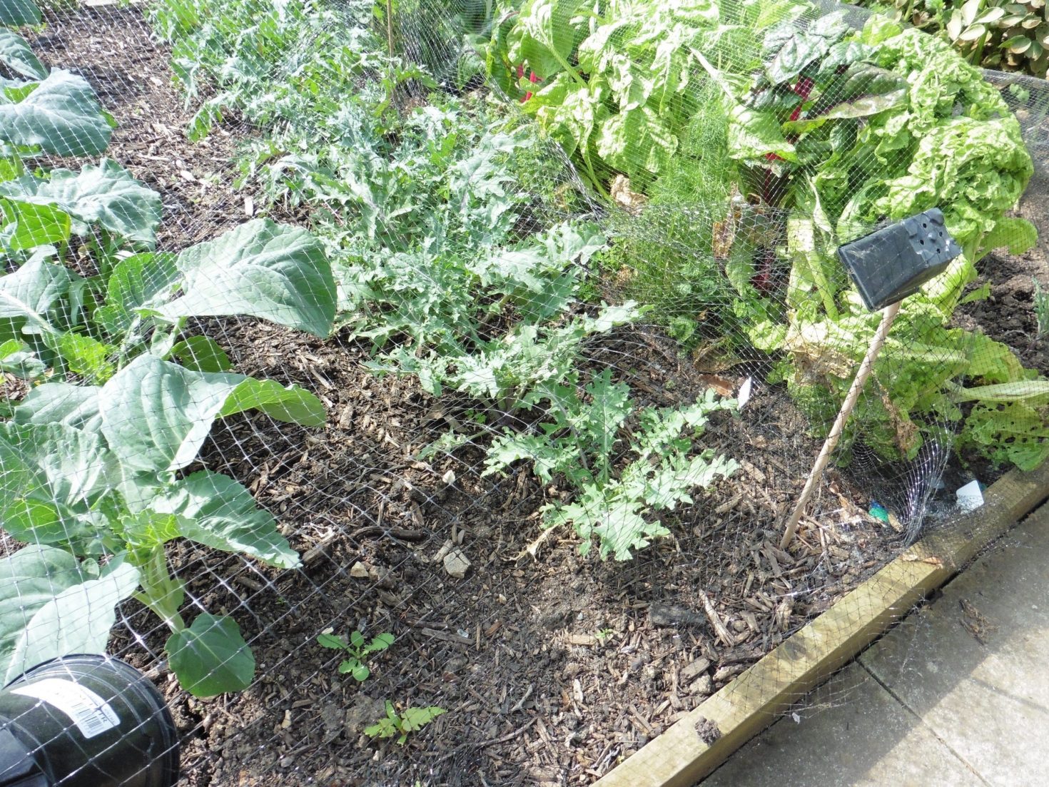 Welcome to Hackney Right To Grow